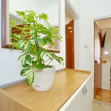 Neva Modern Gasthuis 4*