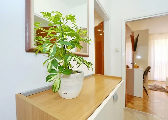 Neva Modern Gæstehus 4*